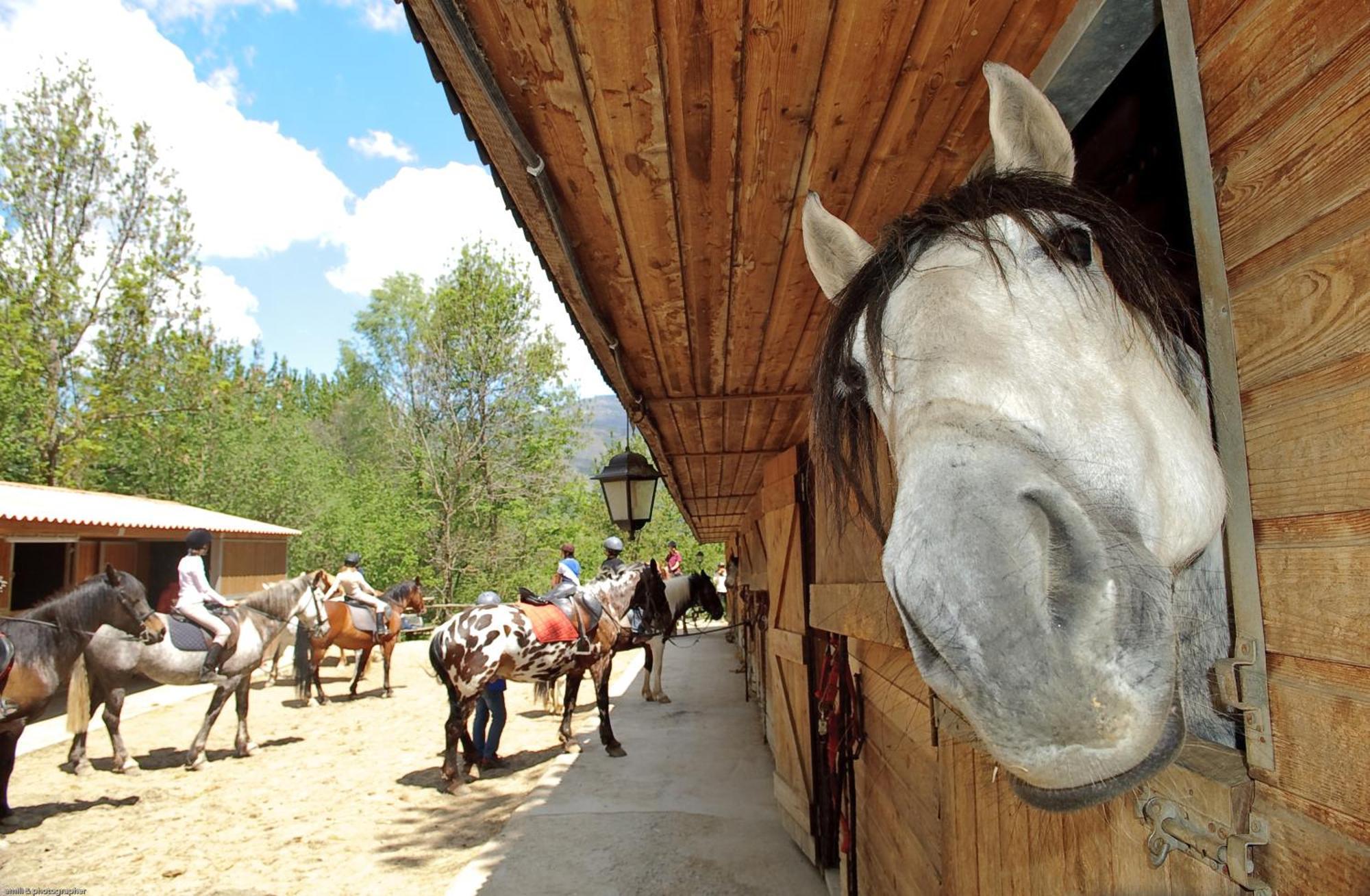Els Torrents Hotel Bellver De Cerdanya Exterior foto